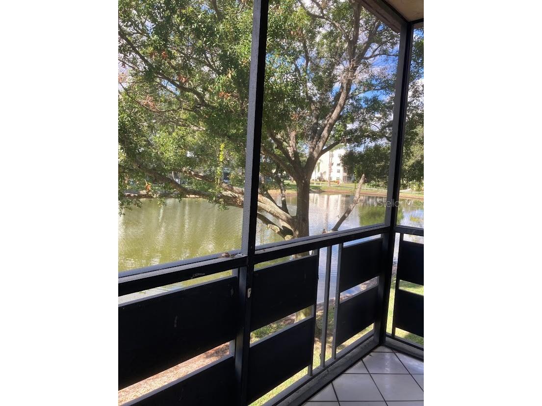 5980 80th Street N #205 Saint Petersburg FL 33709 TB8492529 image13