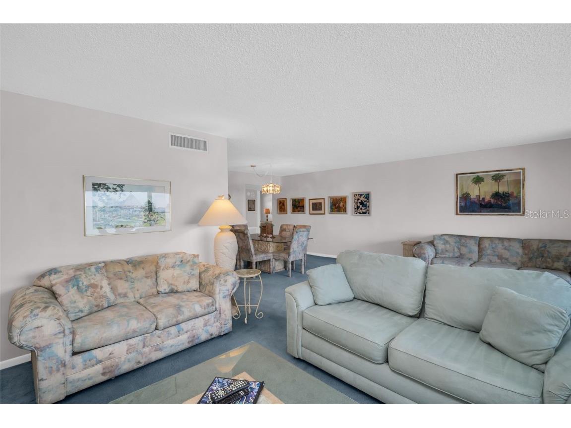 5980 Shore Boulevard S #403 Gulfport FL 33707 TB8377423 image9