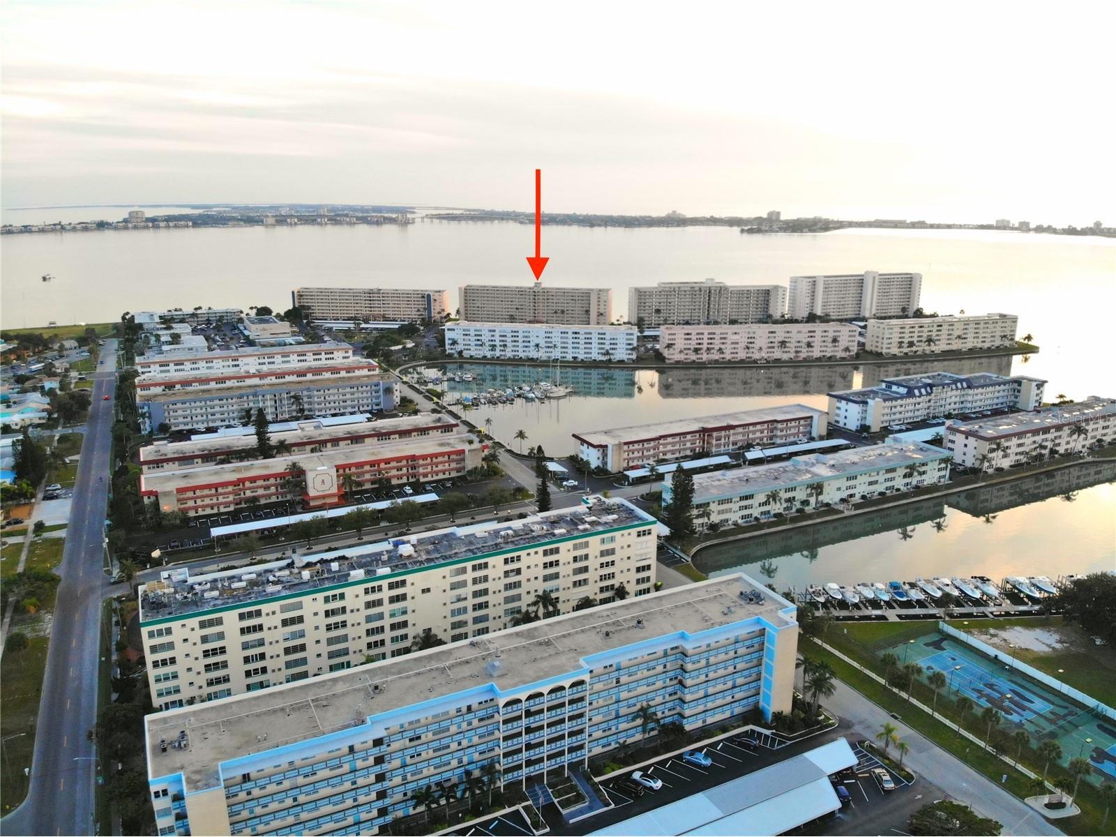 5980 Shore Boulevard S #808 Gulfport FL 33707 TB8506420 image2