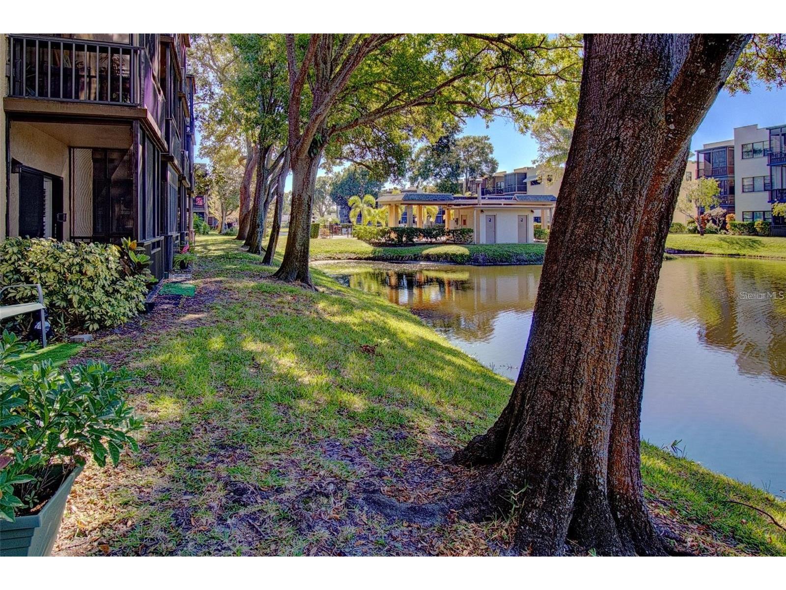 5980 Terrace Park Drive N #201 Saint Petersburg FL 33709 TB8513411 image35