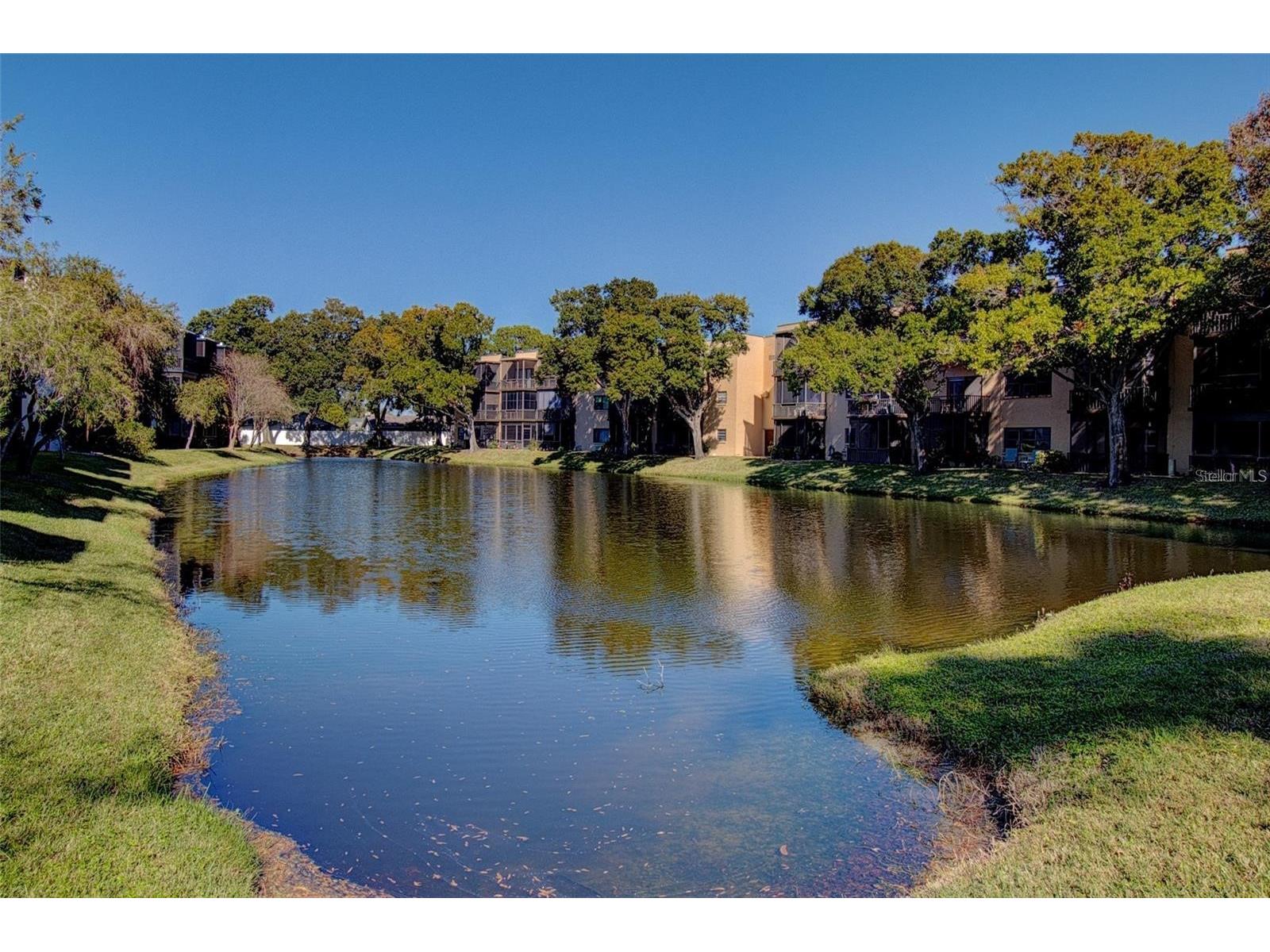 5980 Terrace Park Drive N #201 Saint Petersburg FL 33709 TB8513411 image43