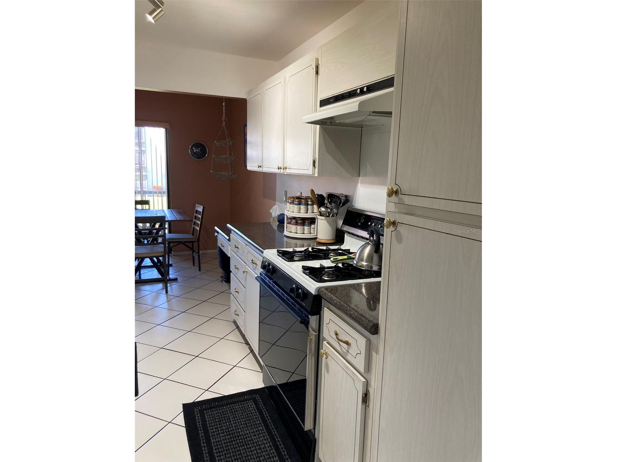 5980 Terrace Park Drive N #203 Saint Petersburg FL 33709 TB8489315 image12