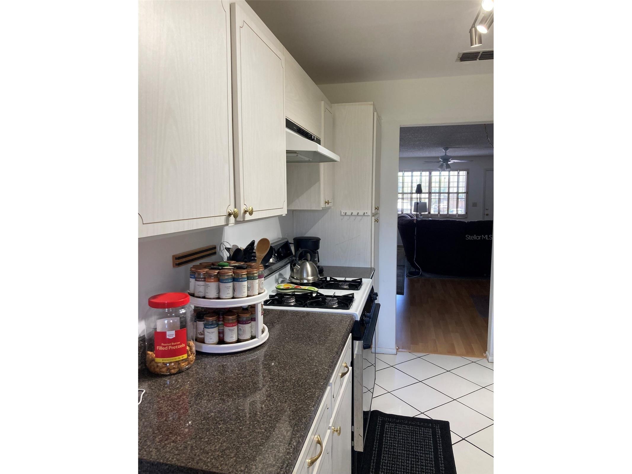 5980 Terrace Park Drive N #203 Saint Petersburg FL 33709 TB8489315 image17
