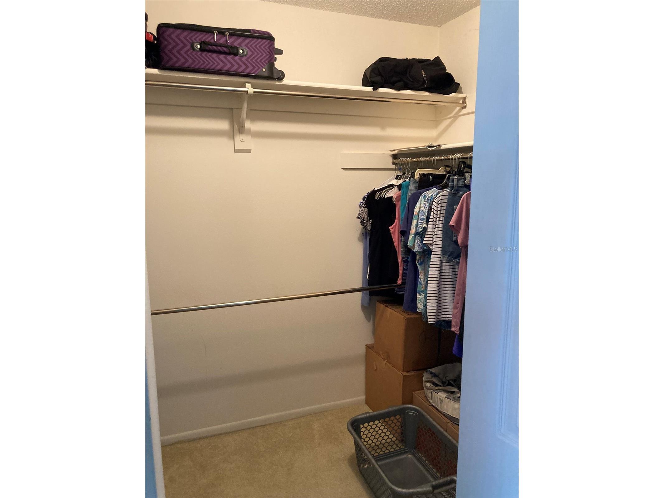 5980 Terrace Park Drive N #203 Saint Petersburg FL 33709 TB8489315 image28