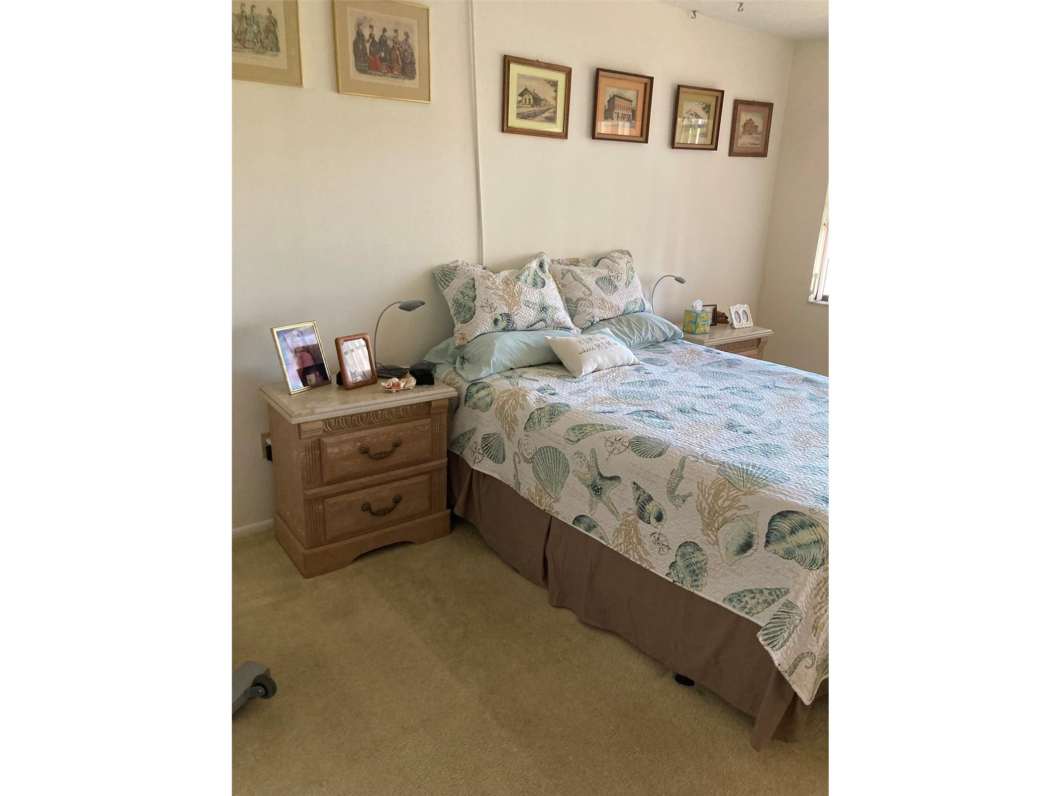 5980 Terrace Park Drive N #203 Saint Petersburg FL 33709 TB8489315 image31