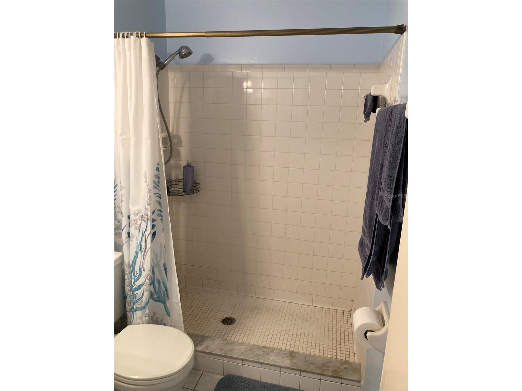 5980 Terrace Park Drive N #203 Saint Petersburg FL 33709 TB8489315 image36