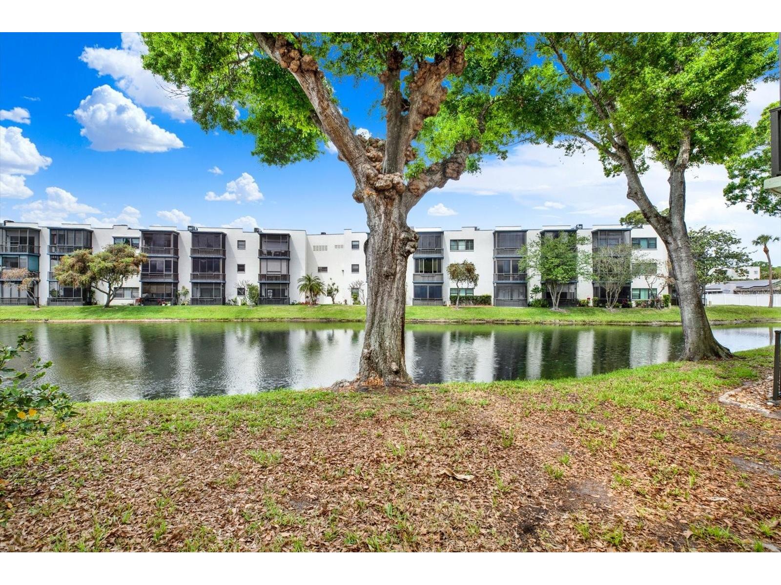 5980 Terrace Park Drive N #309 Saint Petersburg FL 33709 TB8495609 image24