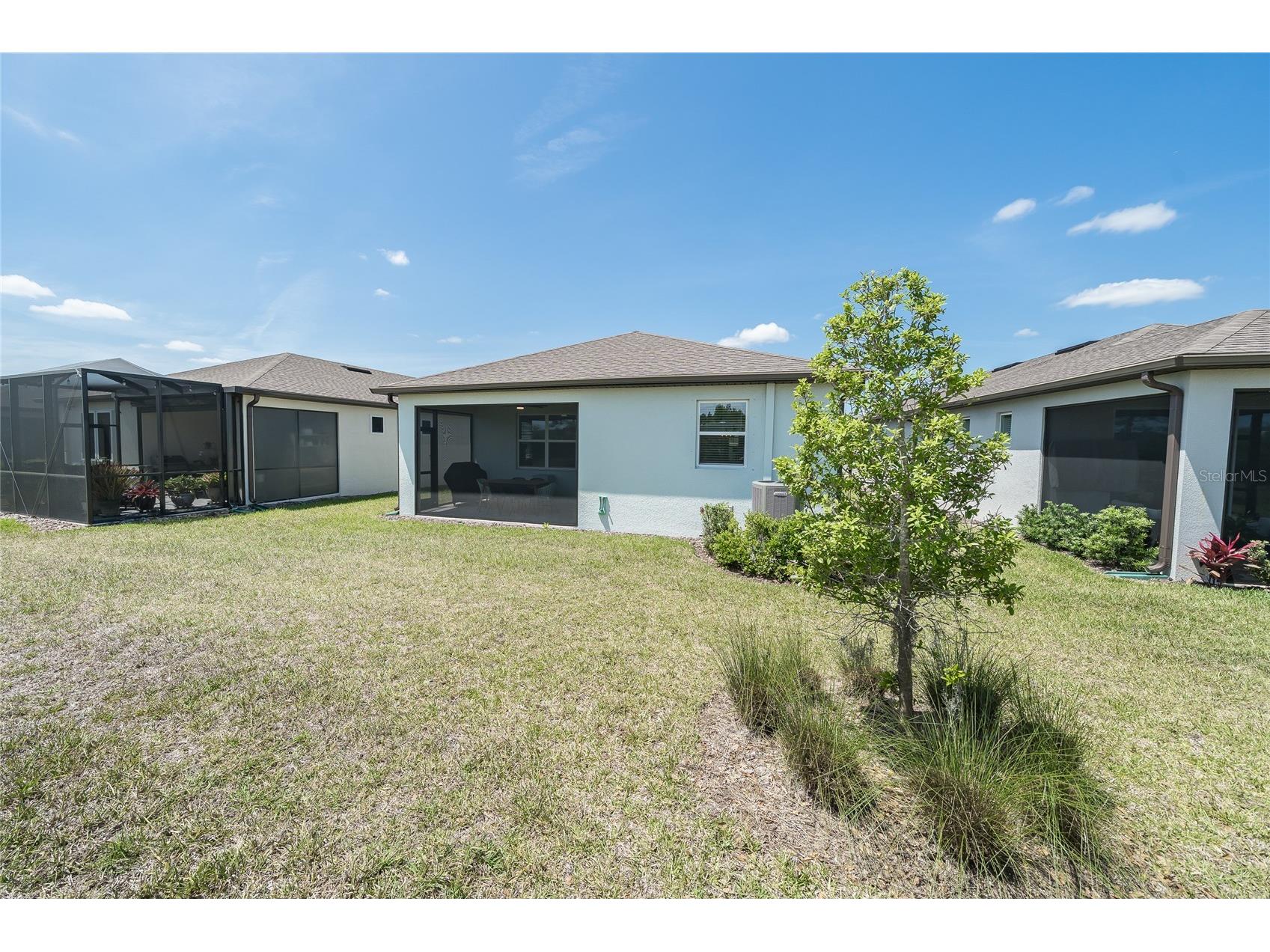 5981 Shorebird Branch Land O Lakes FL 34638 TB8476851 image27
