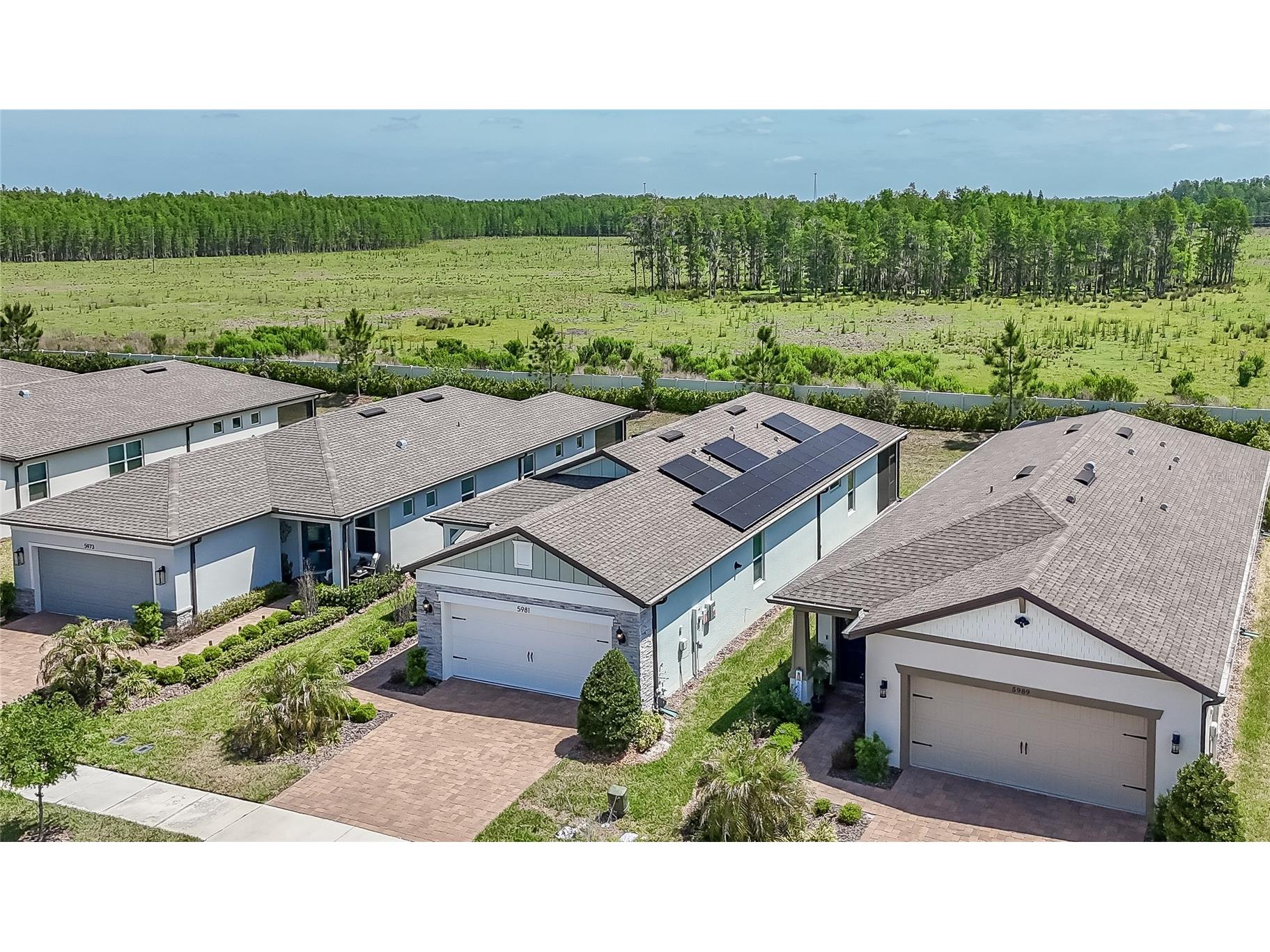 5981 Shorebird Branch Land O Lakes FL 34638 TB8476851 image3