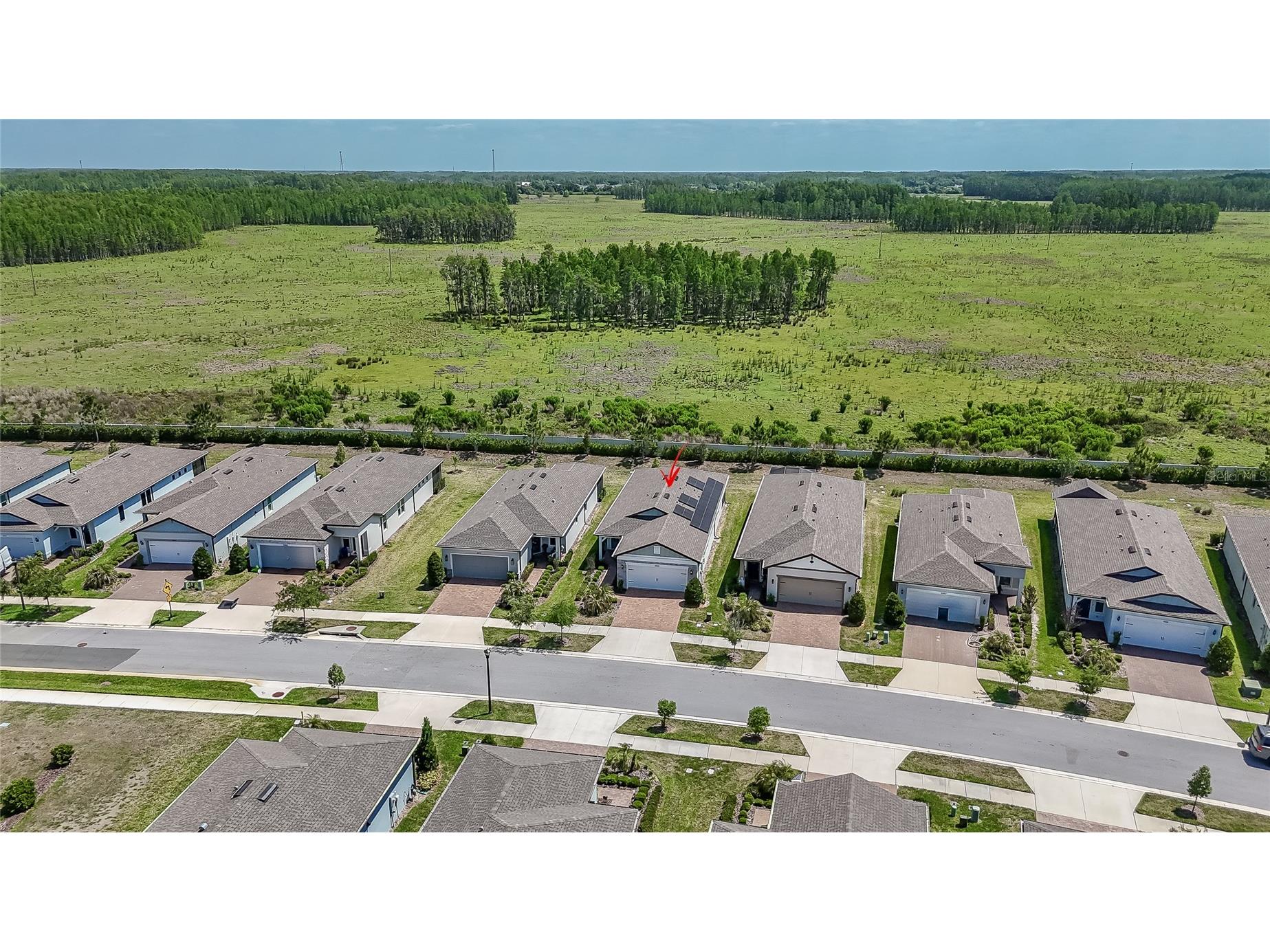 5981 Shorebird Branch Land O Lakes FL 34638 TB8476851 image6