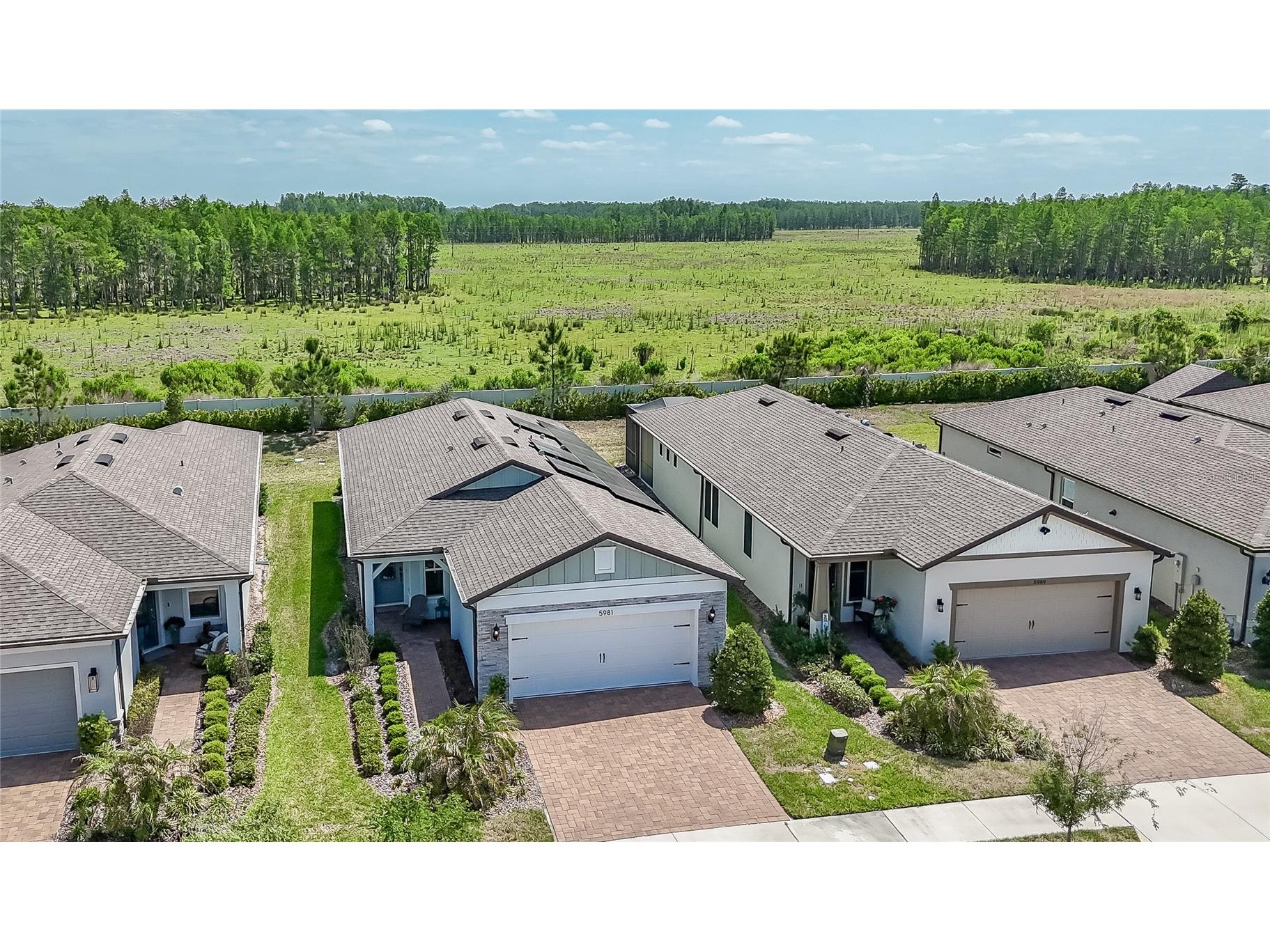 5981 Shorebird Branch Land O Lakes FL 34638 TB8476851 image7