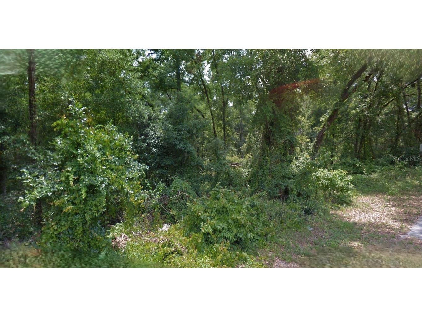 5986 E Waverly Street Inverness FL 34452 O6382269 image1