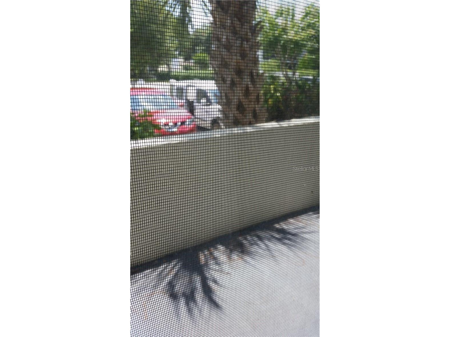 5989 Village Circle #890 Orlando FL 32822 S5142244 image18