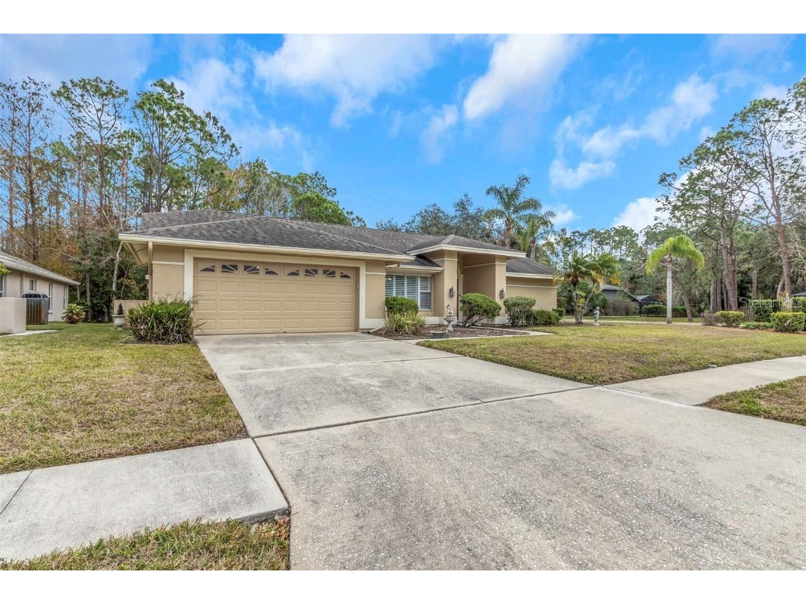 599 Centerwood Drive Tarpon Springs FL 34688 TB8340103 image1