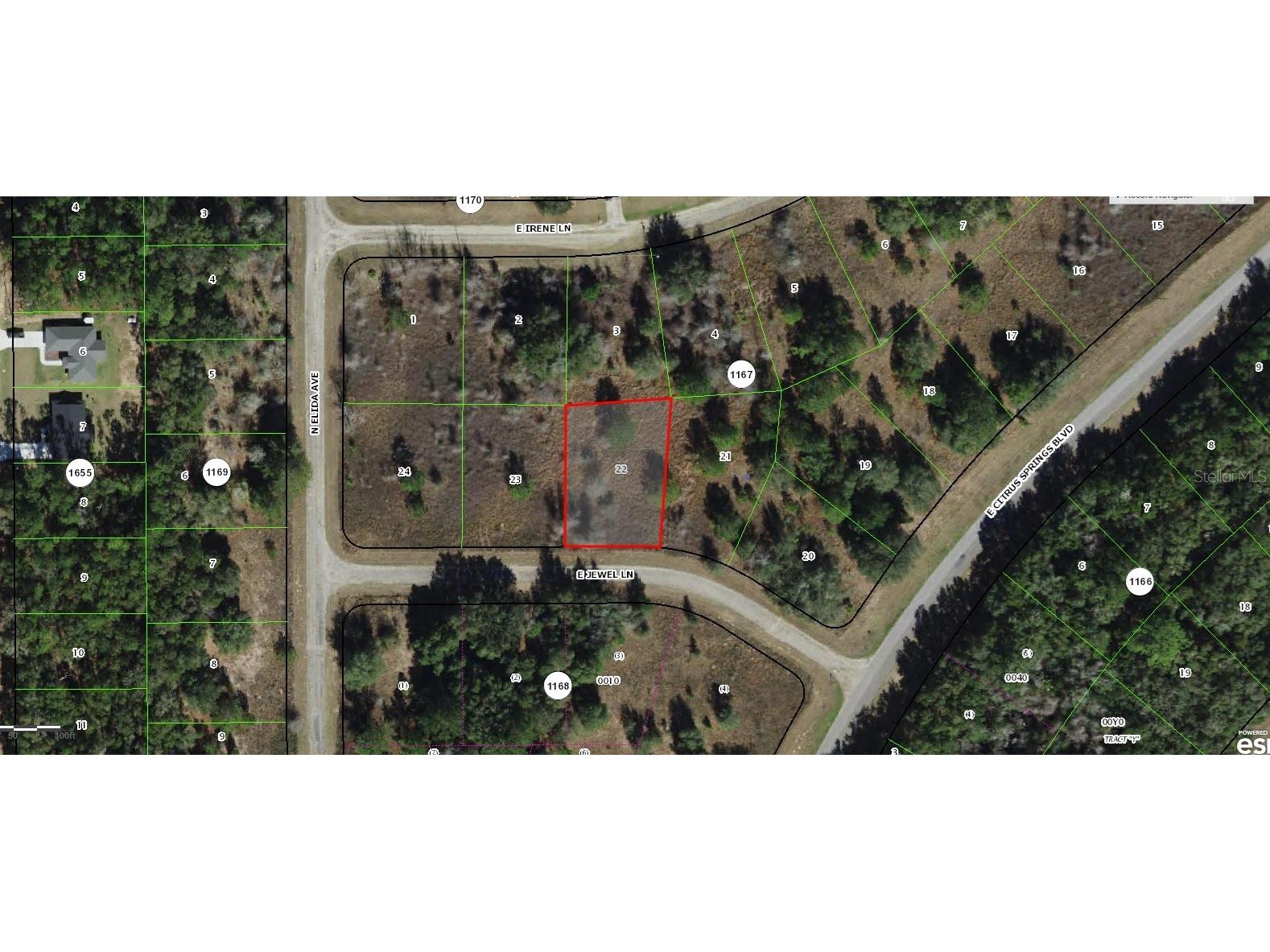 599 E Jewel Lane Dunnellon FL 34434 C7493086 image1