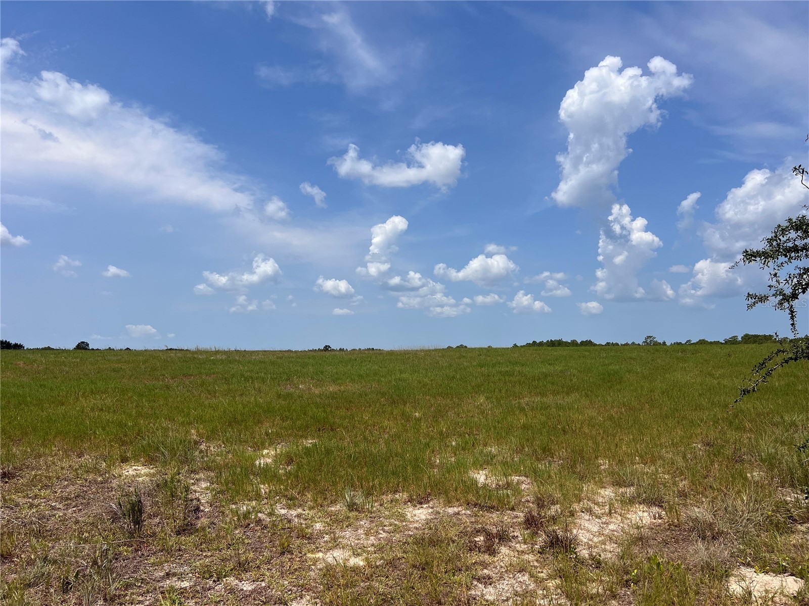 5990 W Oakhill Street Dunnellon FL 34433 TB8525263 image1