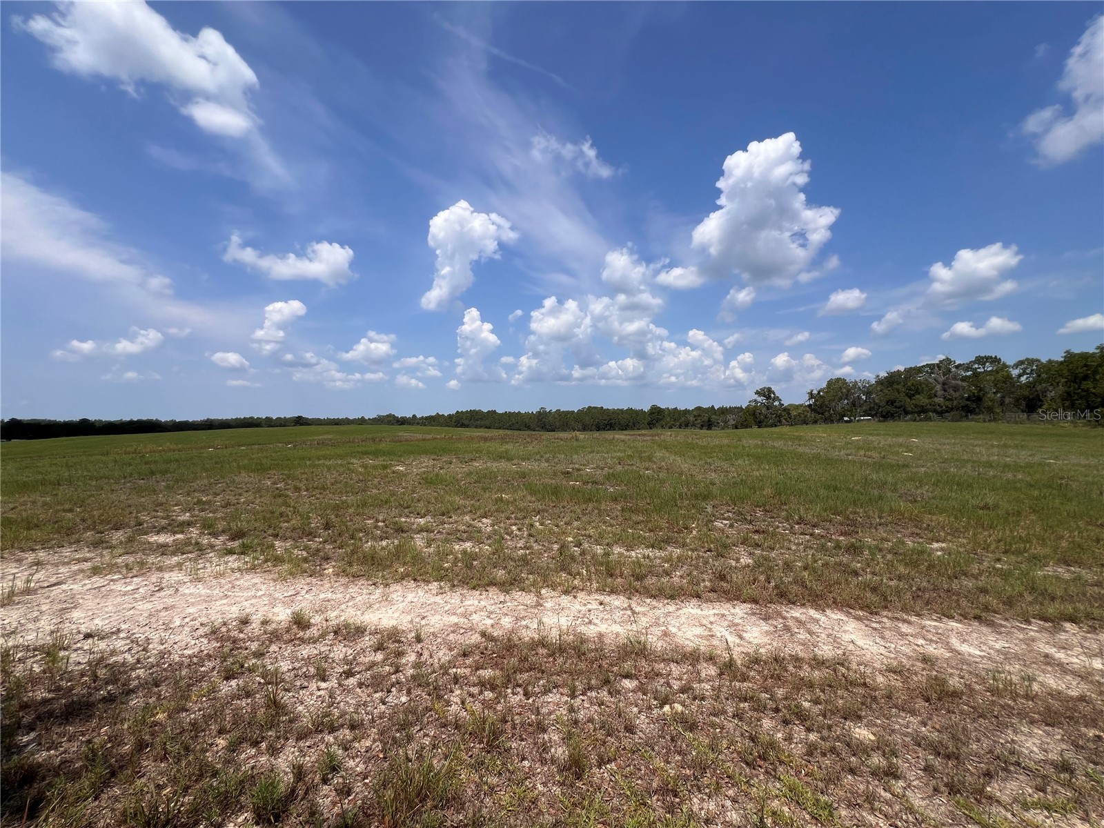 5990 W Oakhill Street Dunnellon FL 34433 TB8525263 image4