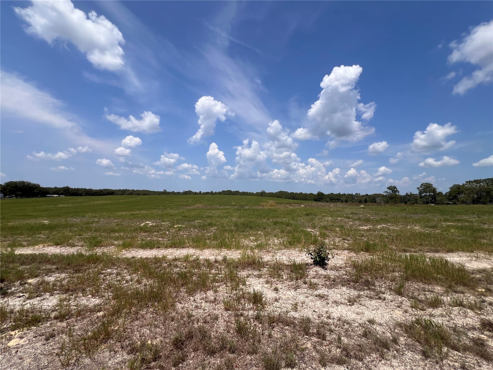 5990 W Oakhill Street Dunnellon FL 34433 TB8525263 image5