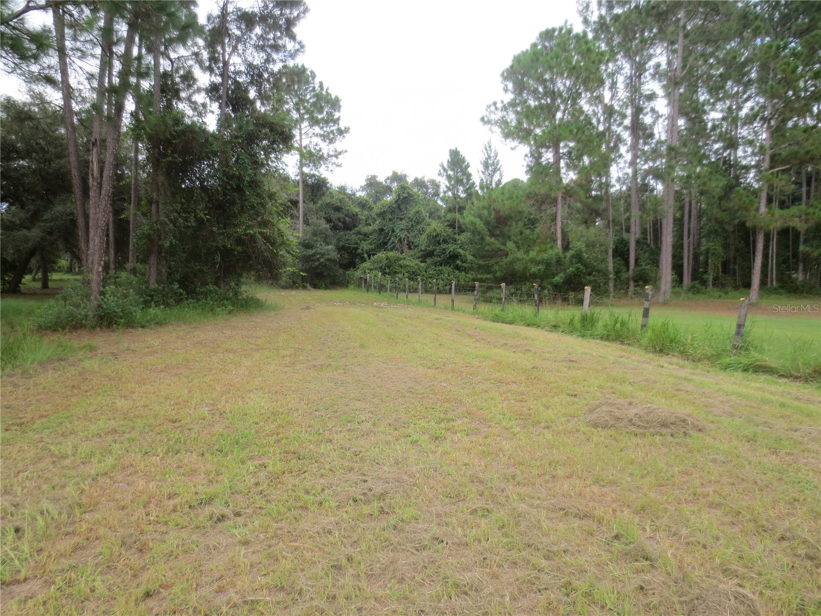5995 SE 183rd Avenue Road Ocklawaha FL 32179 OM725783 image21
