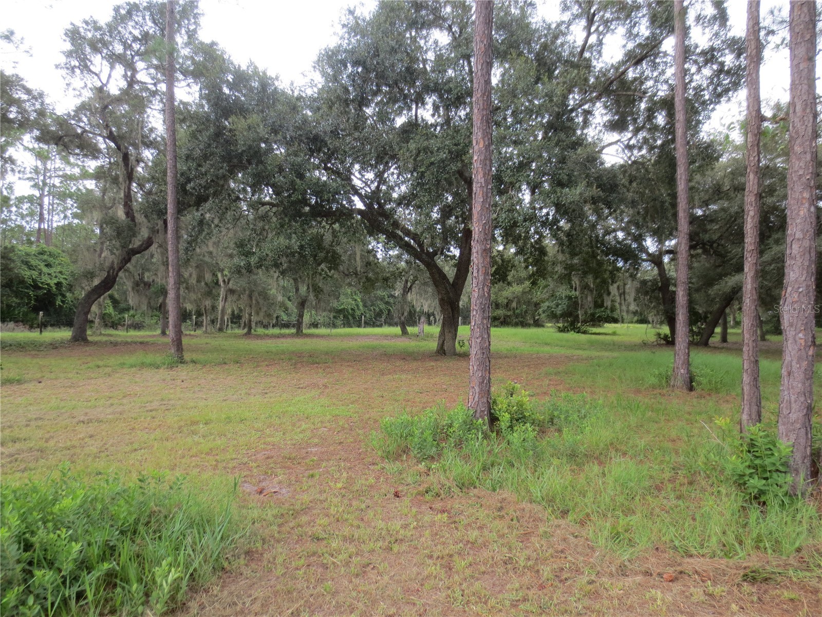 5995 SE 183rd Avenue Road Ocklawaha FL 32179 OM725783 image22