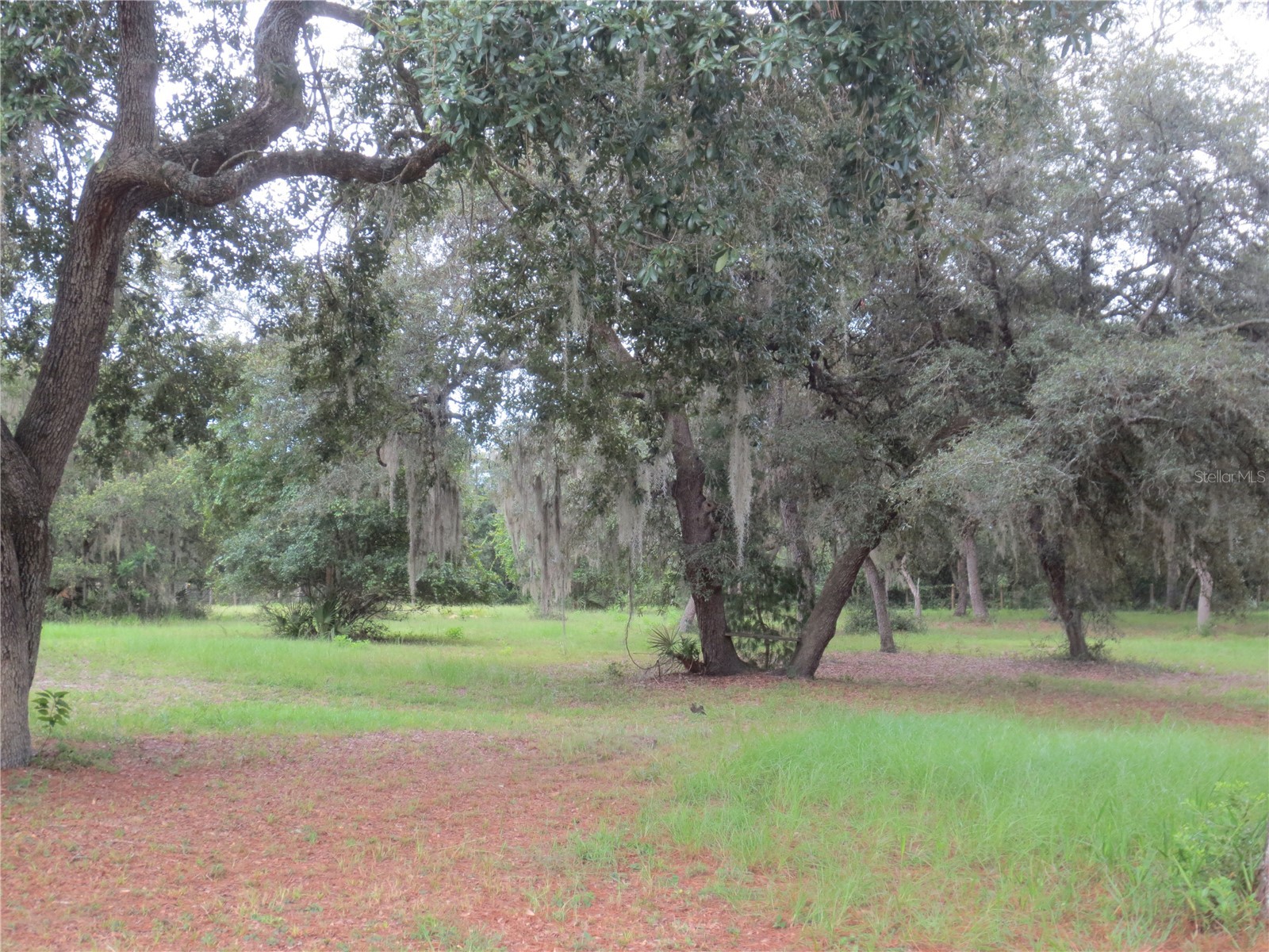 5995 SE 183rd Avenue Road Ocklawaha FL 32179 OM725783 image23