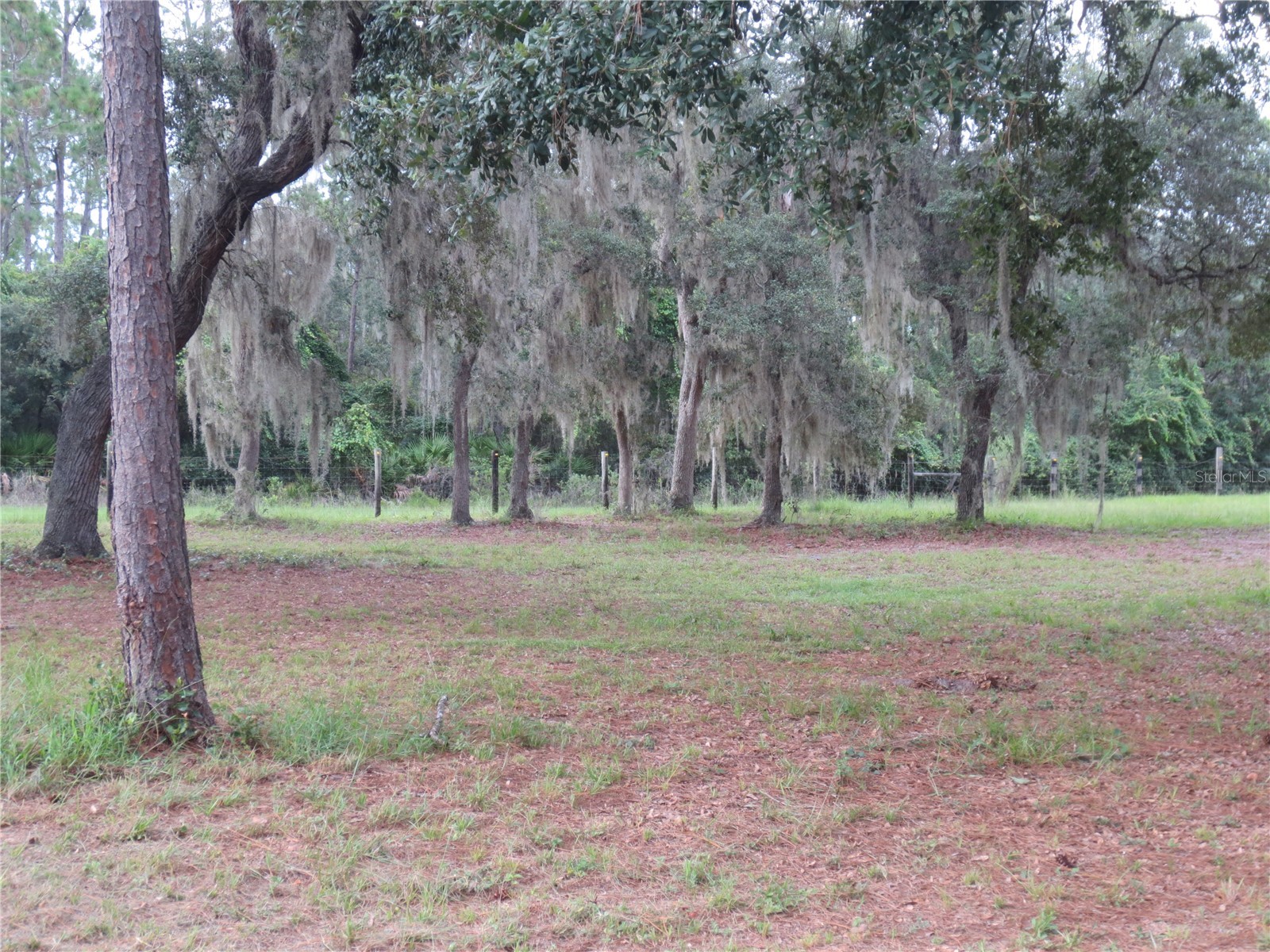 5995 SE 183rd Avenue Road Ocklawaha FL 32179 OM725783 image24