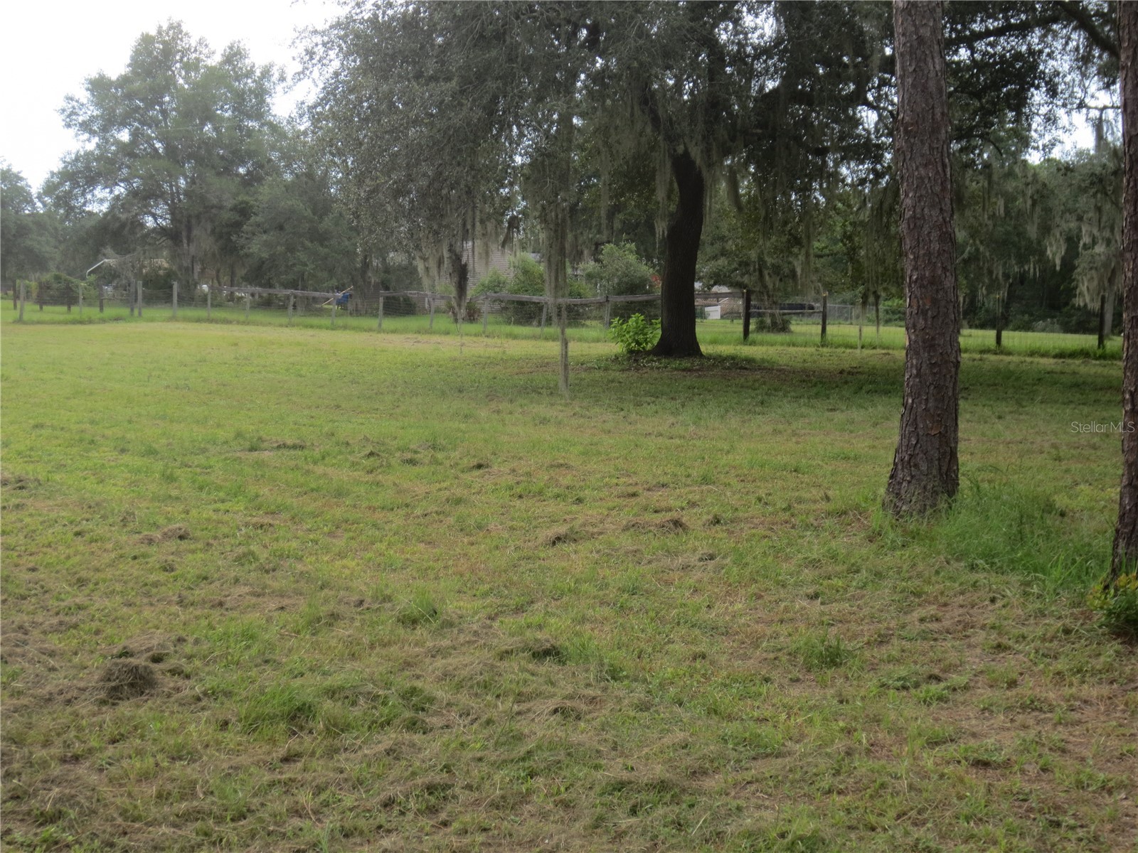 5995 SE 183rd Avenue Road Ocklawaha FL 32179 OM725783 image25