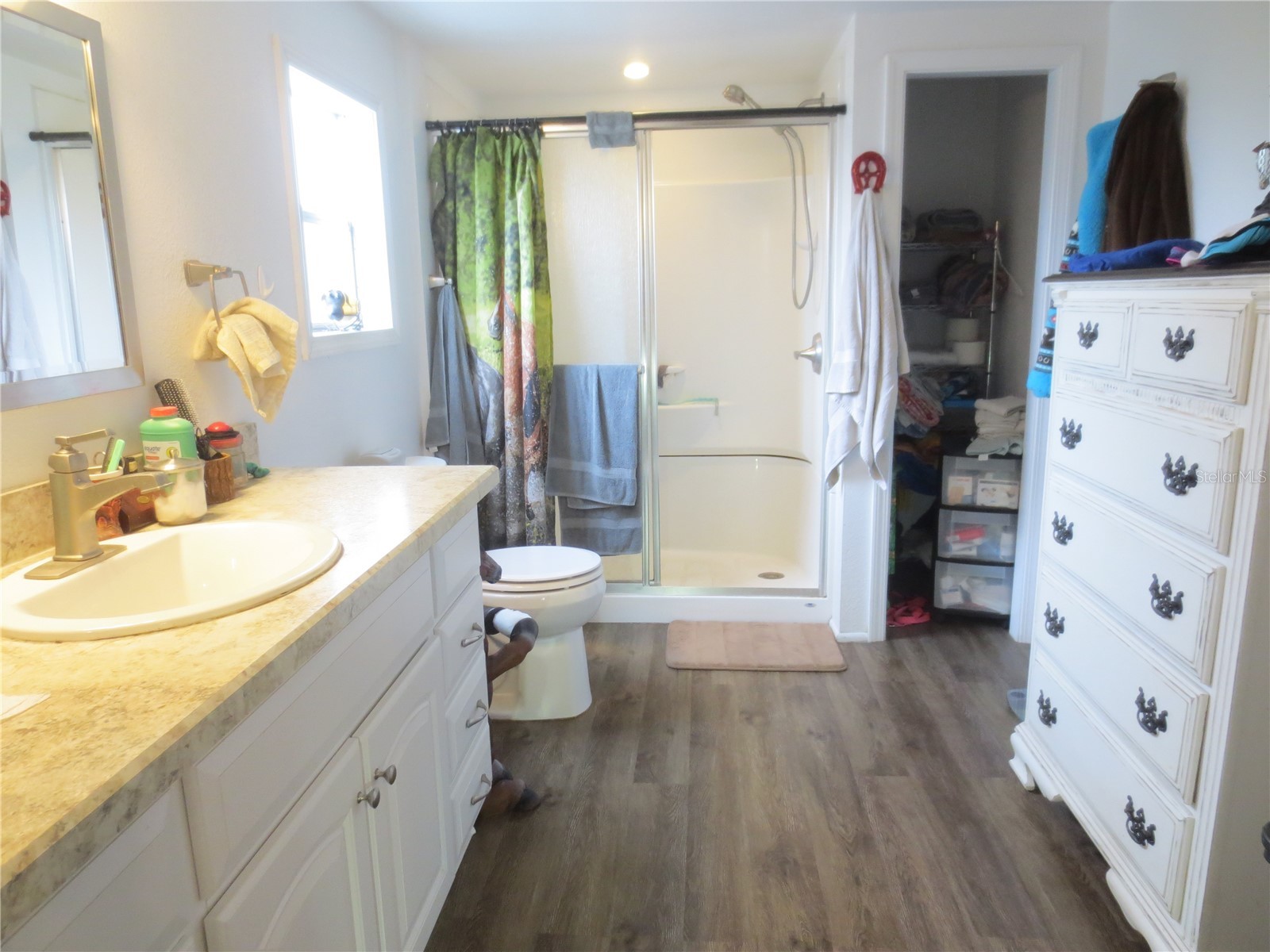 5995 SE 183rd Avenue Road Ocklawaha FL 32179 OM725783 image44