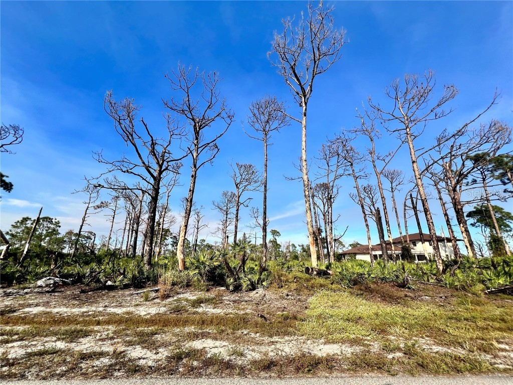 6 Adrift Court Placida FL 33946 C7519379 image1