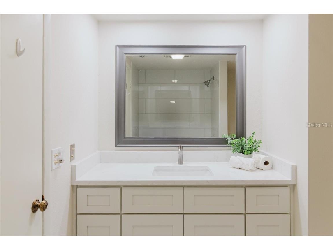 6 Belleview Boulevard #706 Belleair FL 33756 TB8447701 image21