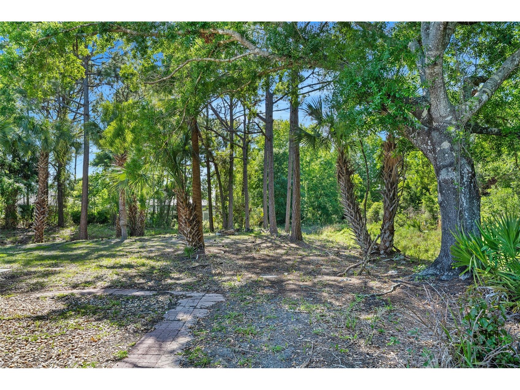 6 Big Horn Place Palm Coast FL 32137 V4948707 image37