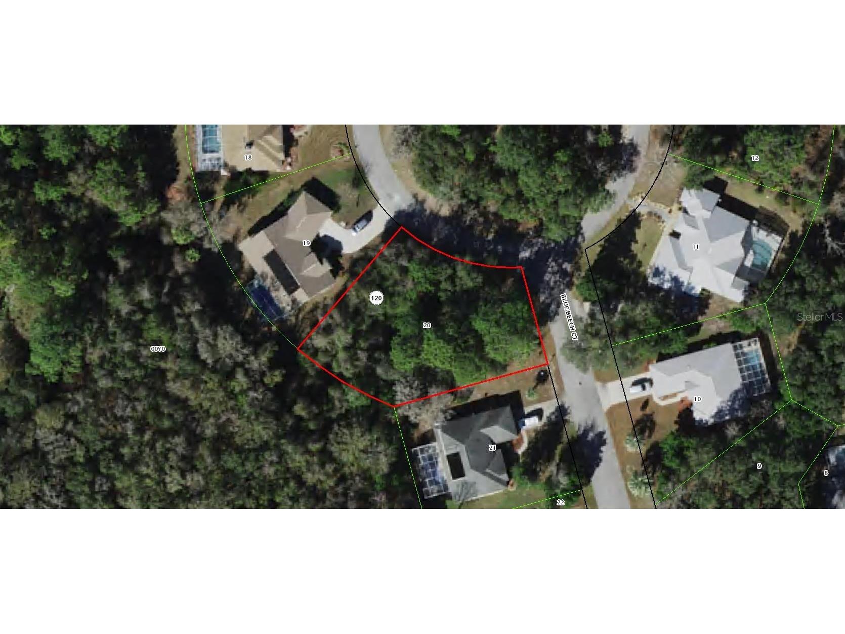 6 Blue Beech Court Homosassa FL 34446 T3508840 image1
