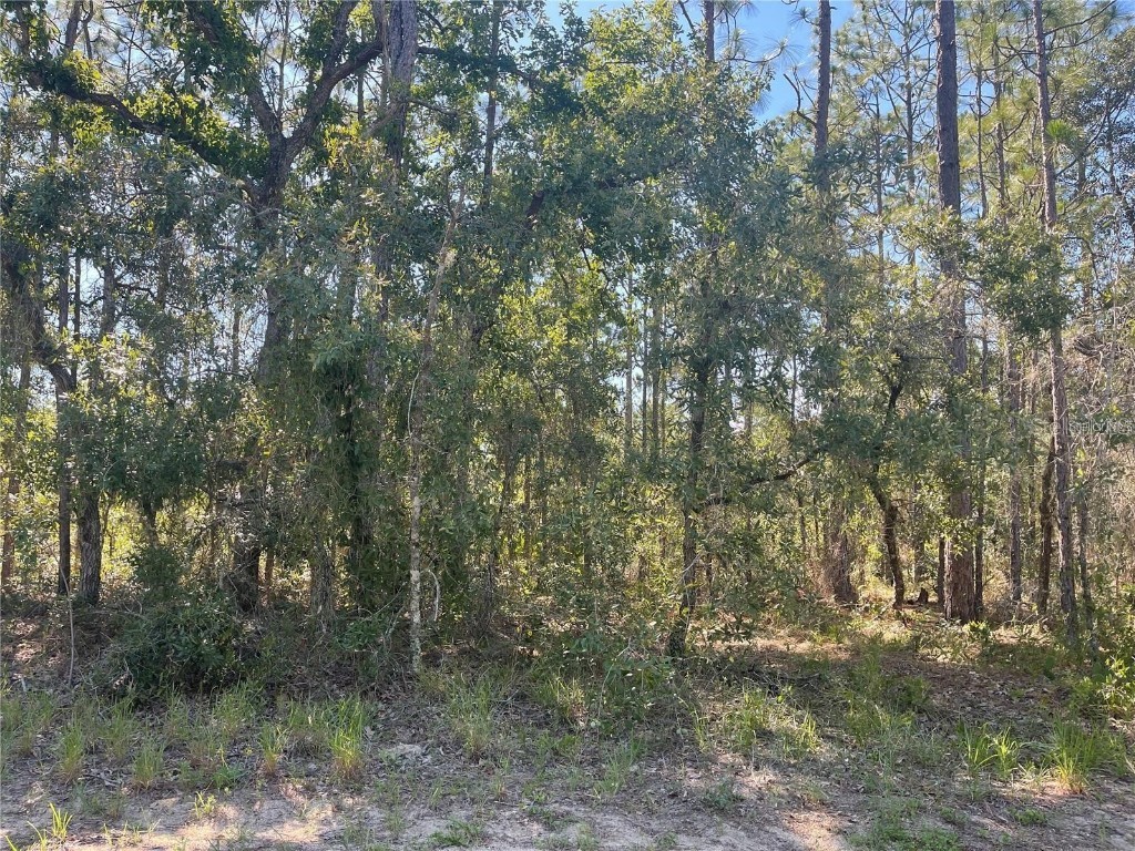 6 Boxleaf Court Homosassa FL 34446 W7858716 image1