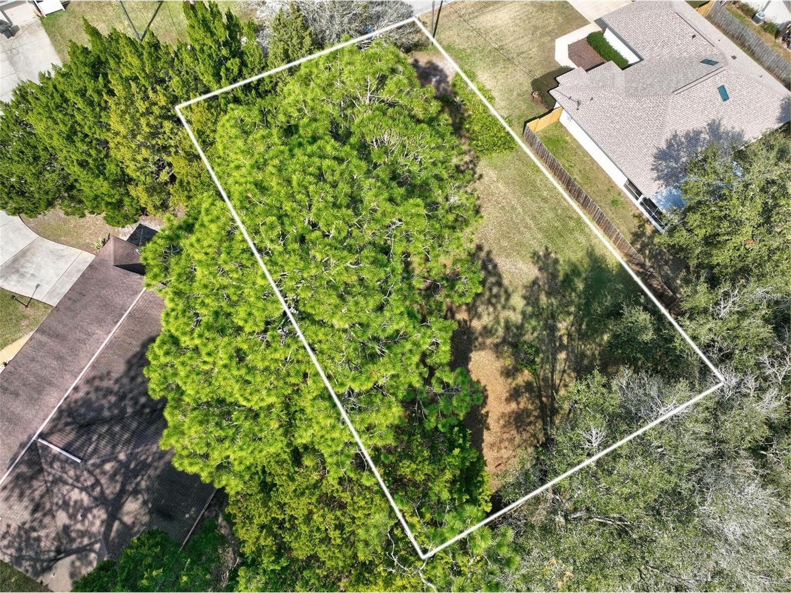 6 Bronson Lane Palm Coast FL 32137 FC316473 image4