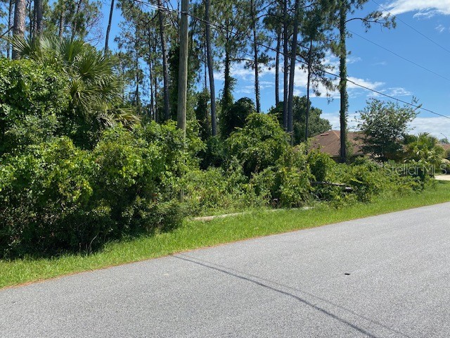 6 Bud Hollow Drive Palm Coast FL 32137 FC302170 image1