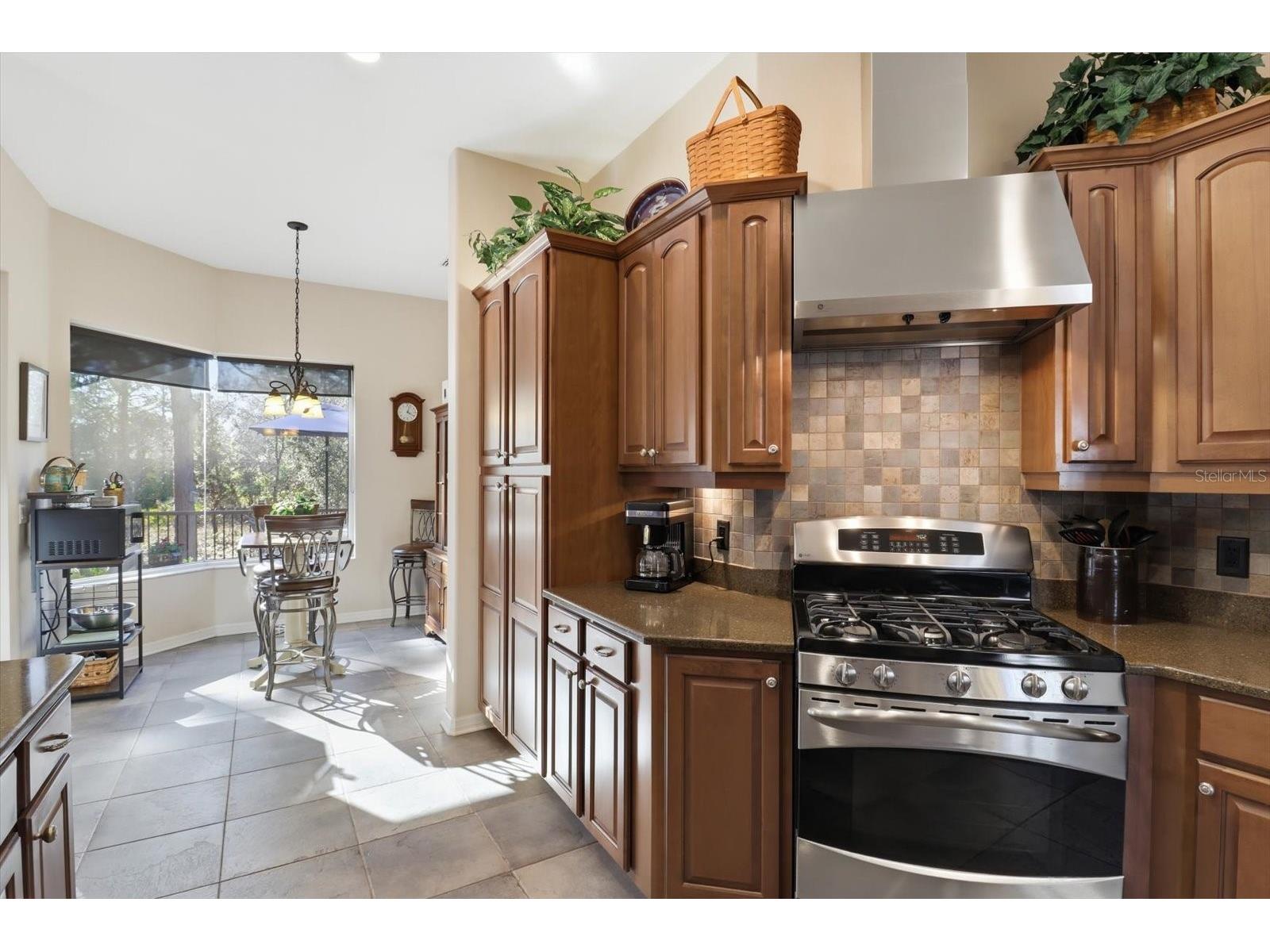 6 Carnation Court Homosassa FL 34446 TB8499006 image19
