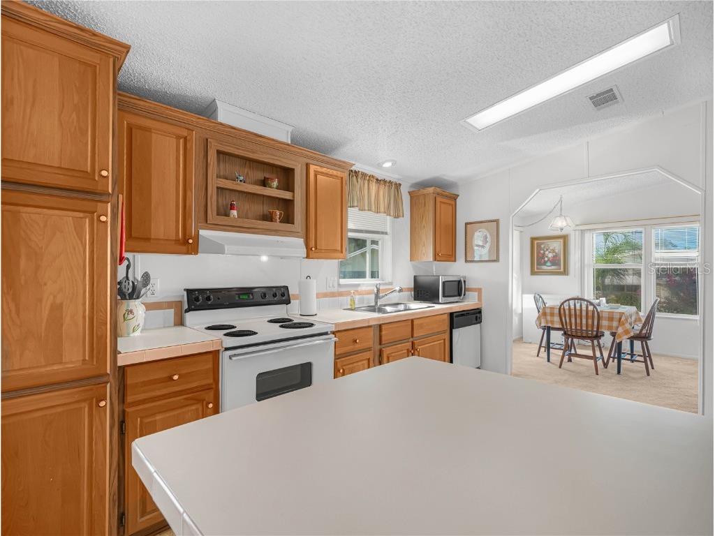 6 Catskill Lake Wales FL 33898 - SADDLEBAG LAKE K4903121 image14