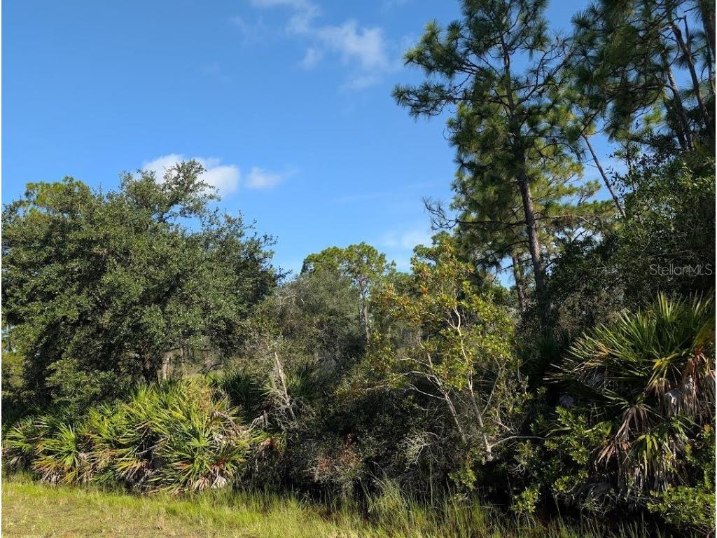 6 El Dorado Drive Indian Lake Estates FL 33855 - LAKE WALK-IN-WATER TB8422001 image3