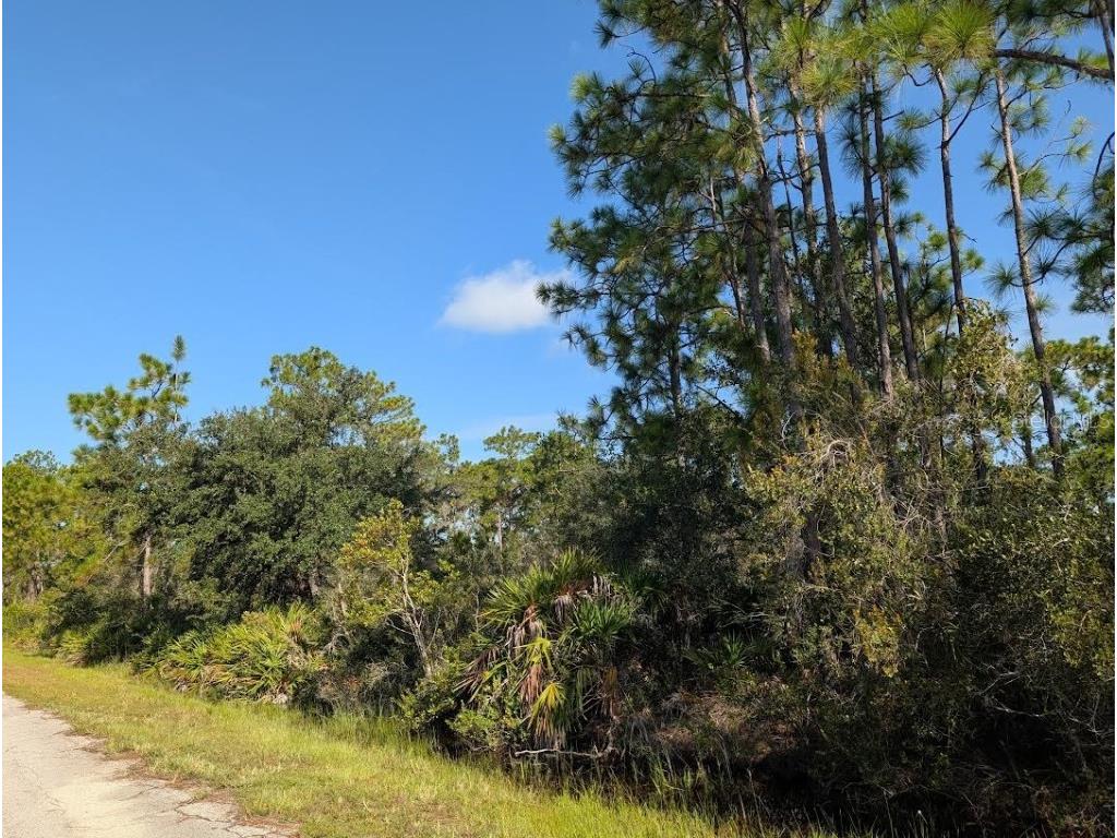 6 El Dorado Drive Indian Lake Estates FL 33855 - LAKE WALK-IN-WATER TB8422001 image4