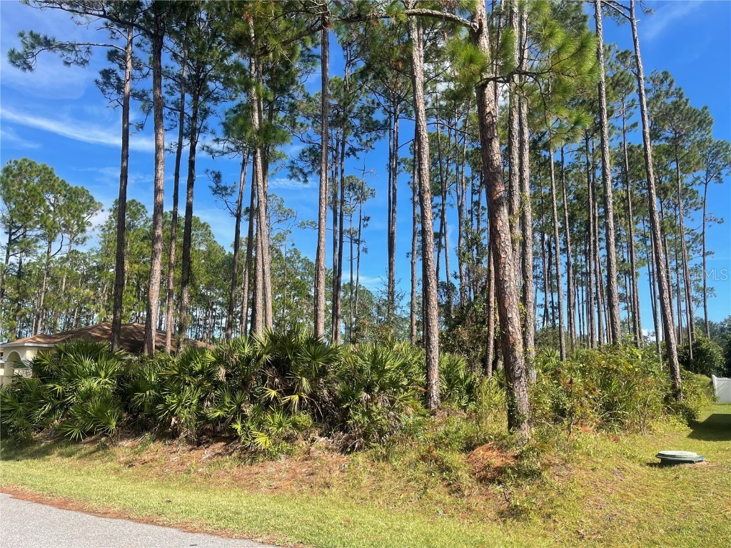 6 Emmons Lane Palm Coast FL 32164 FC287263 image1