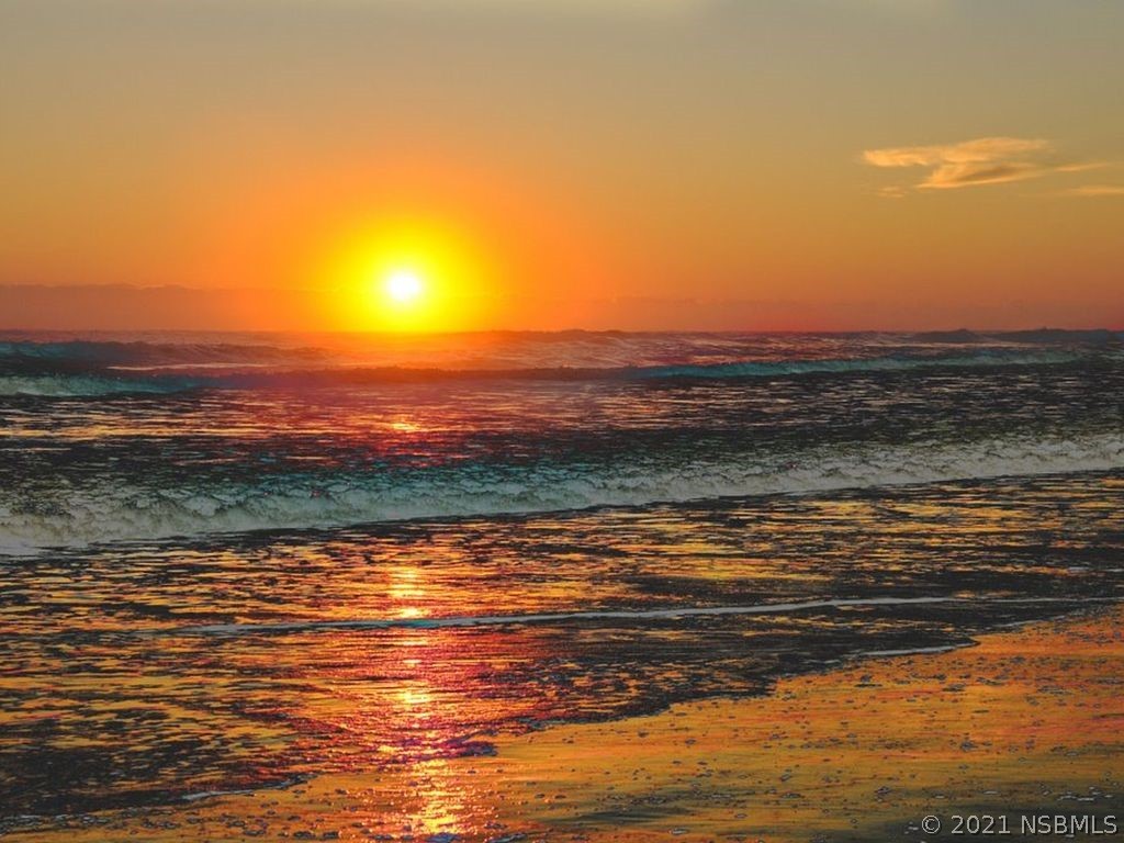 6 Eloise Circle Ormond Beach FL 32176 NS1066733 image1