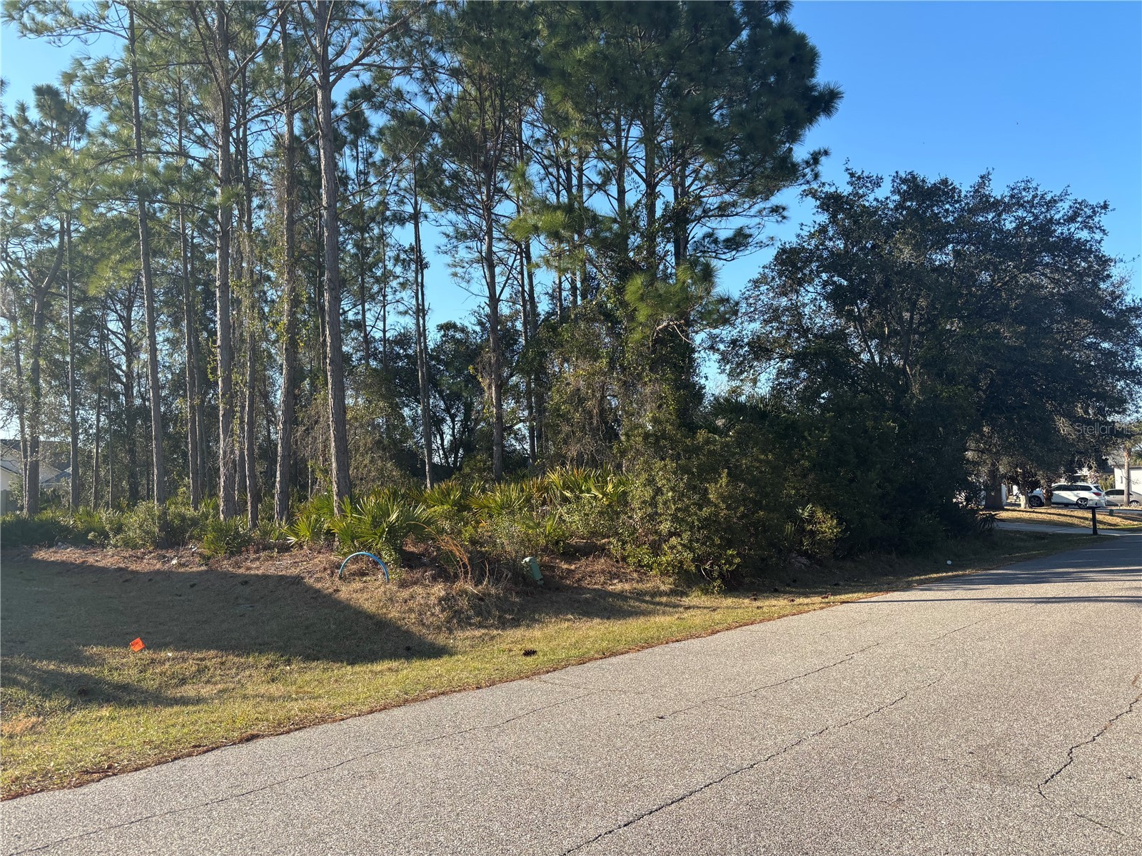 6 Flint Hill Lane Palm Coast FL 32137 FC316158 image2
