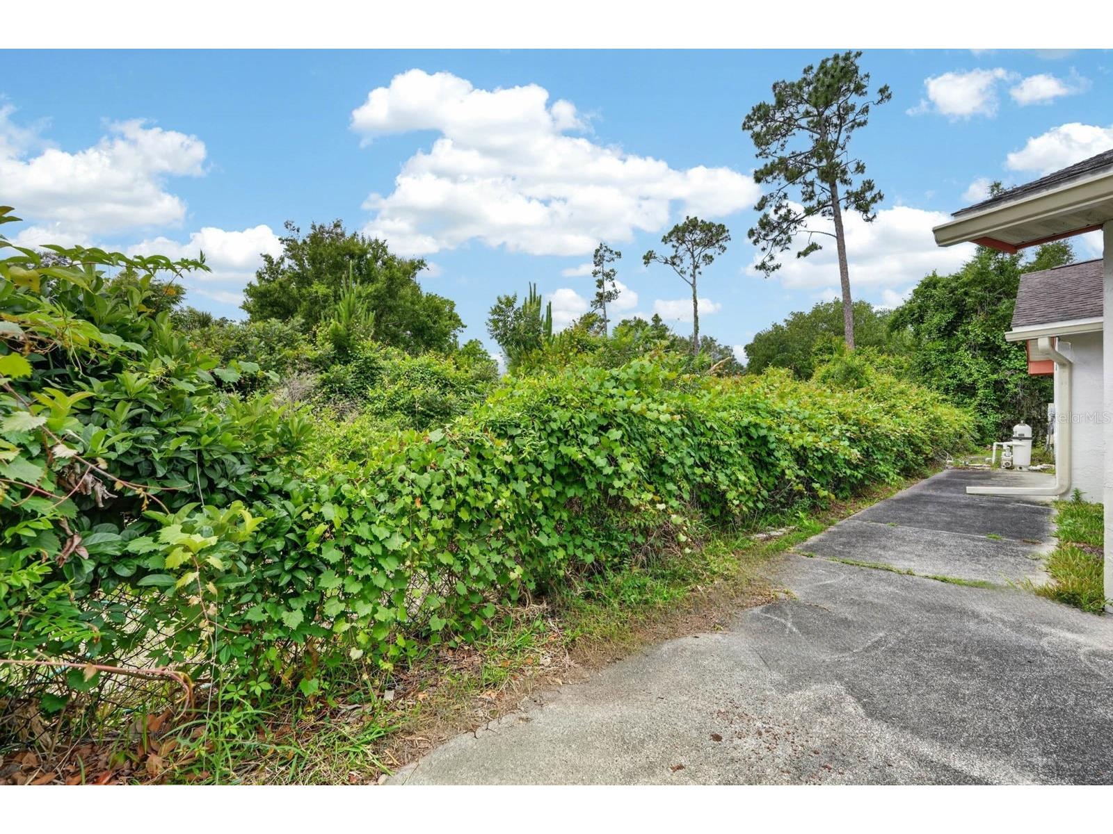 6 Foxhall Court Palm Coast FL 32137 V4948956 image42