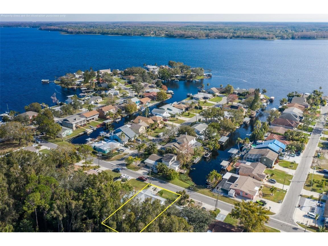 6 Freshwater Drive Palm Harbor FL 34684 TB8341566 image1