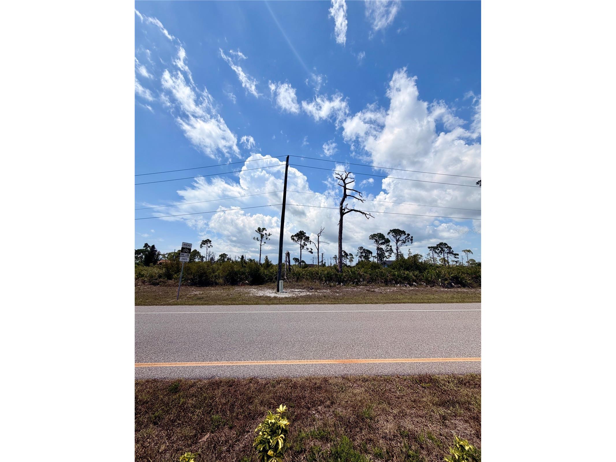 6 Harness Road Placida FL 33946 D6147943 image1