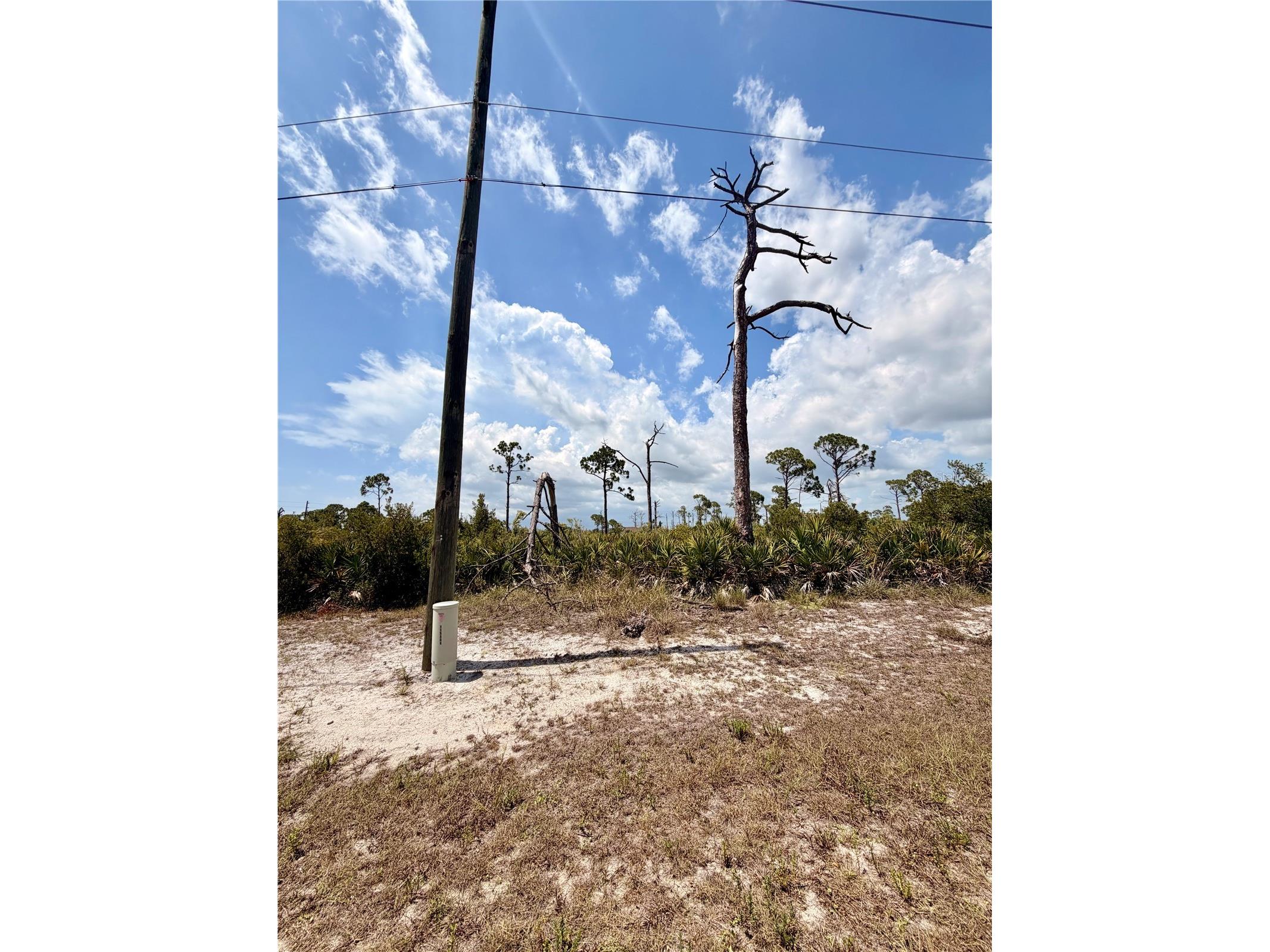6 Harness Road Placida FL 33946 D6147943 image2