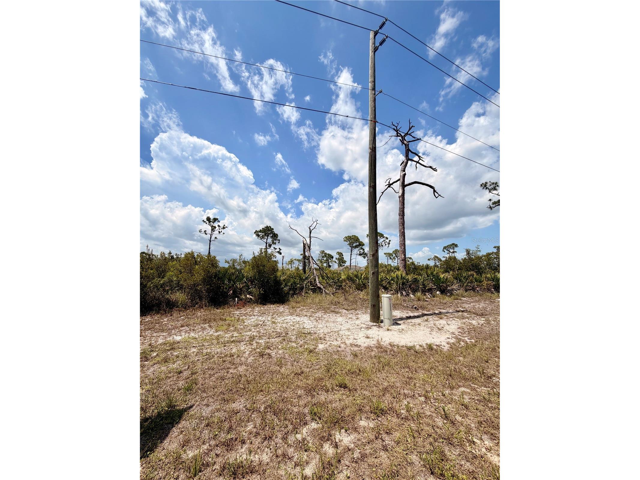 6 Harness Road Placida FL 33946 D6147943 image4