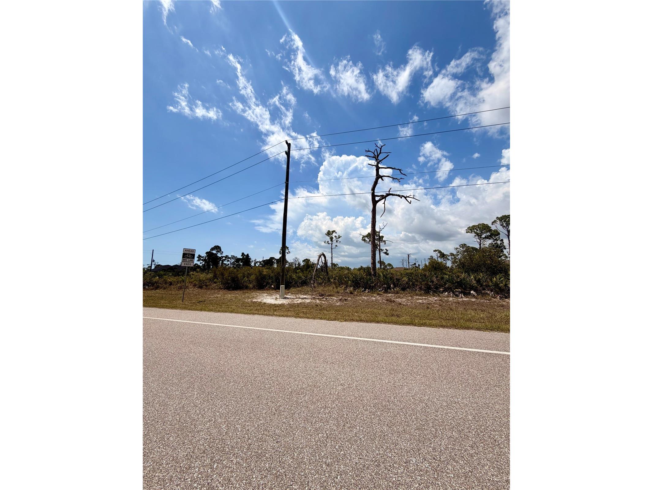 6 Harness Road Placida FL 33946 D6147943 image5