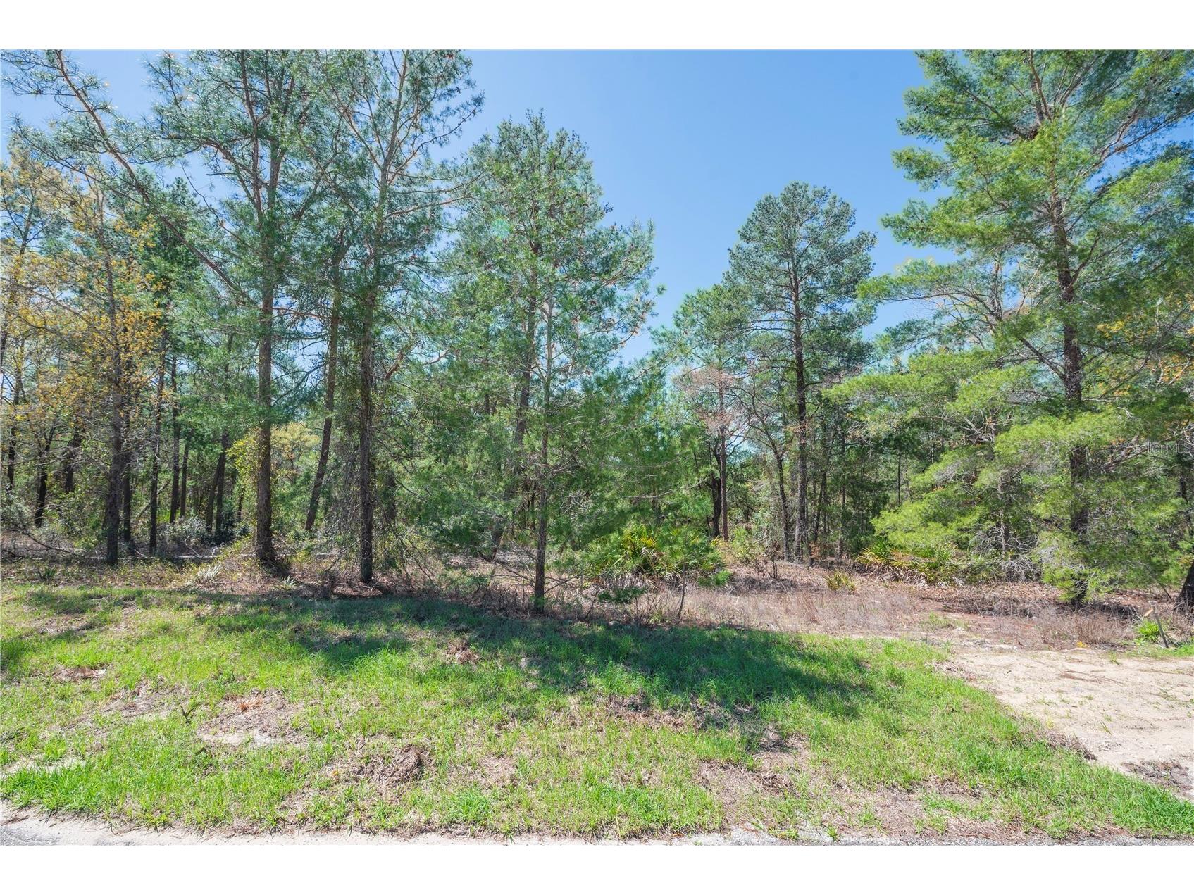 6 Heuchera Court E Homosassa FL 34446 TB8482528 image1