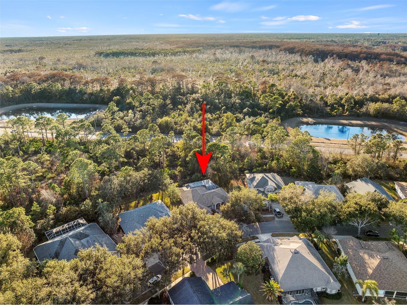 6 Ibis Court N Palm Coast FL 32137 FC315706 image43